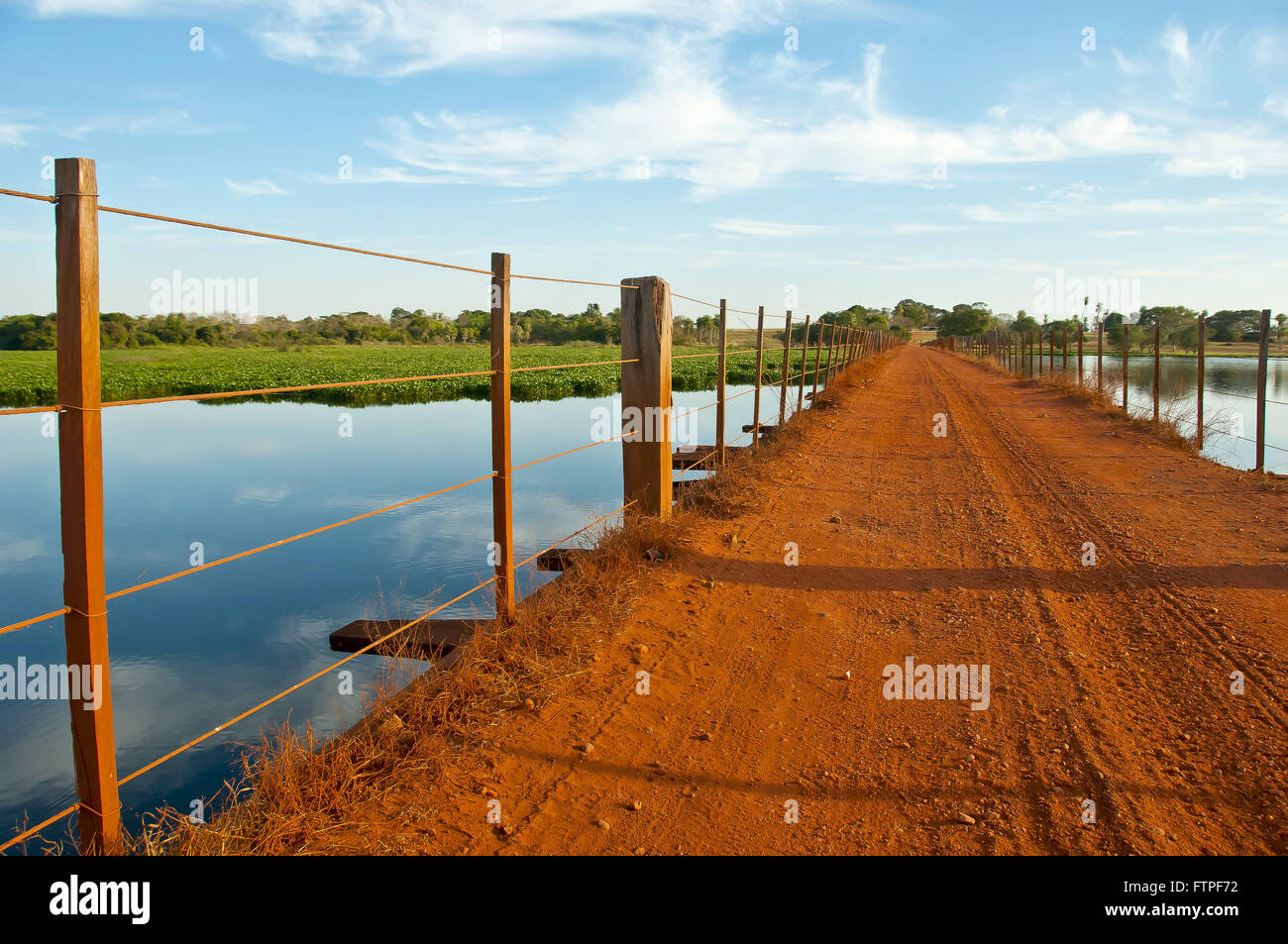 Dirt road in farm in the Pantanal Stock Photo