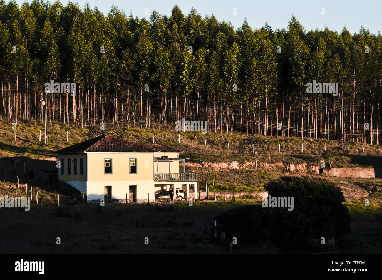 Sunsets in rural housing estate with pine forest in the background Stock Photo