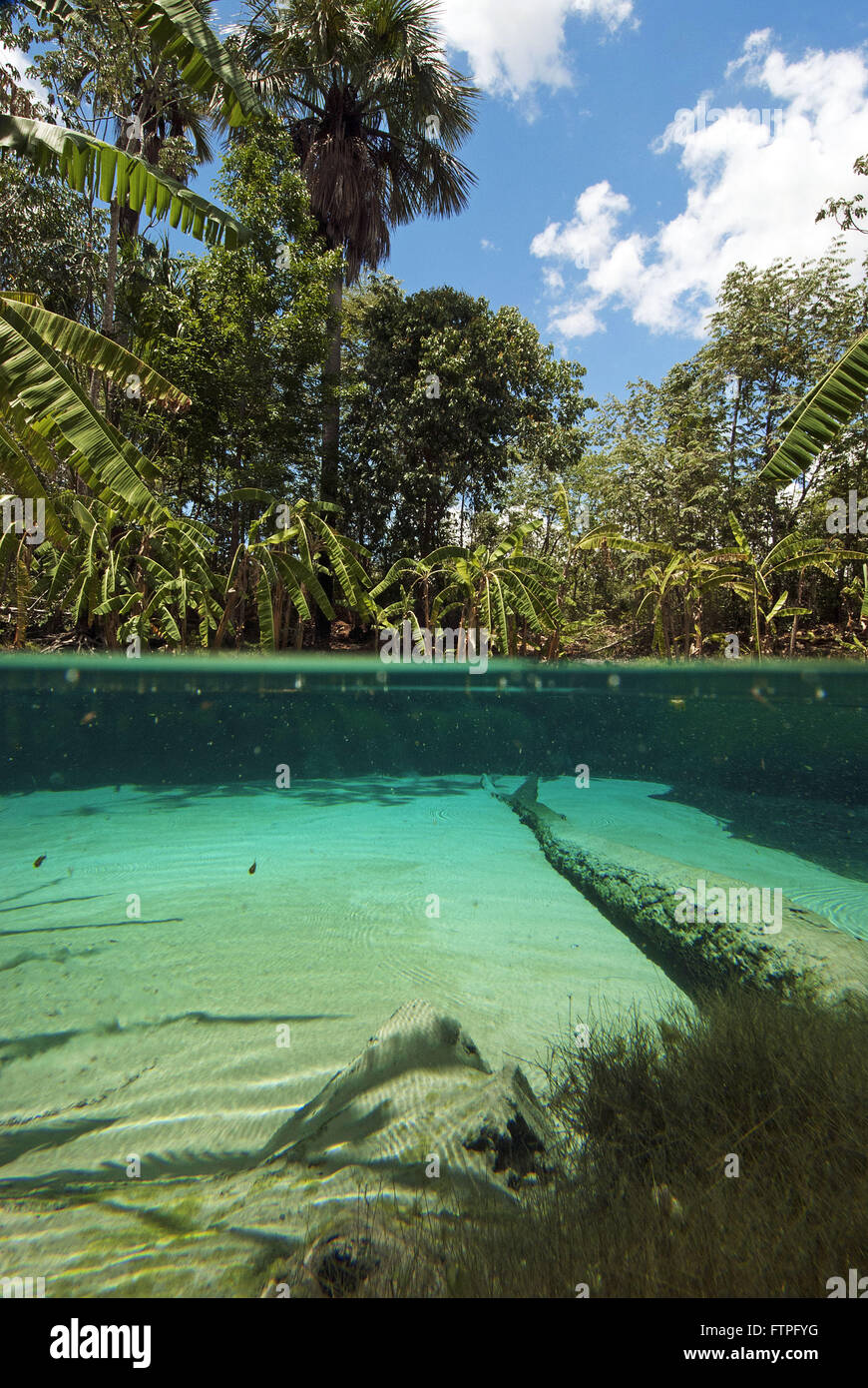 Fervedouro - State Park Jalapao Stock Photo