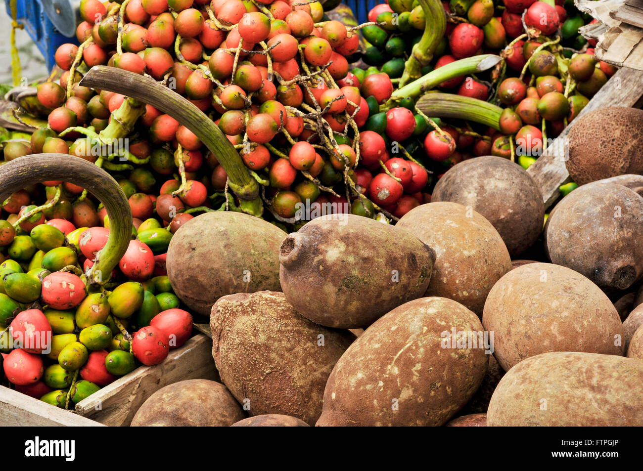 Peach palm fruit and Cupuacu sale at City Market - historic center Stock Photo