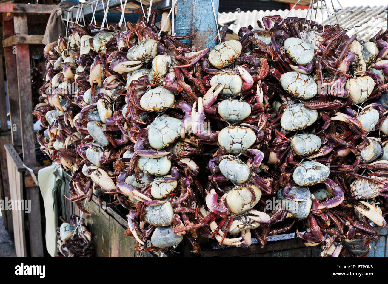 Crabs sale at City Market historic center Stock Photo Alamy