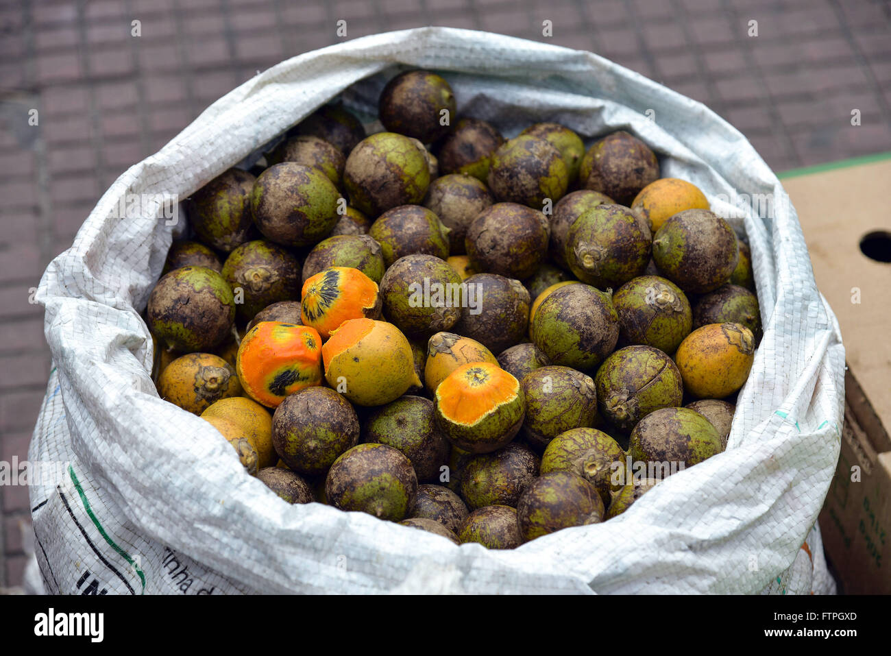 Tucuma - typical fruit of the Northern Region Stock Photo