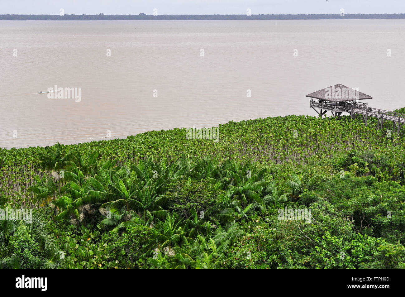 Lookout on the banks of the Rio Guama Mangal Naturalistico Park Garcas Stock Photo