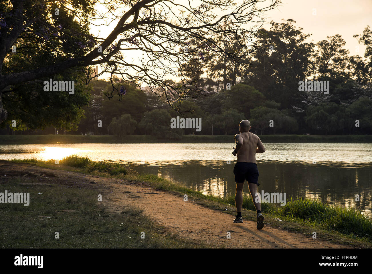 Person exercising in Ibirapuera Park - south of the city Stock Photo