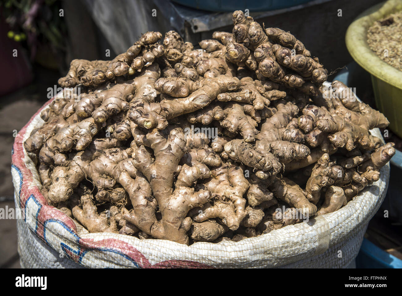 Gingers on sale at the City Market area - Bairro da Levada Stock Photo