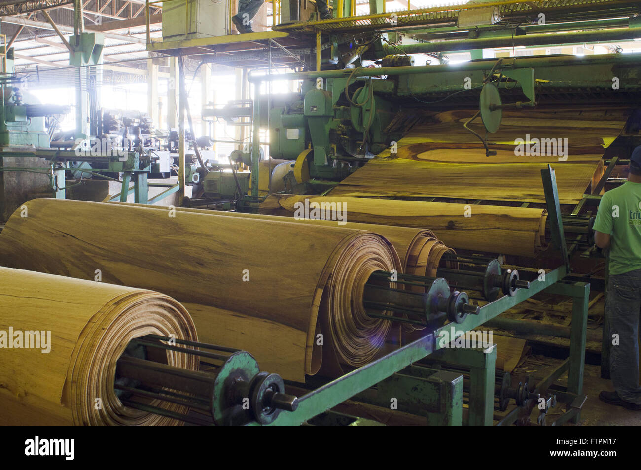 Plywood factory hires stock photography and images Alamy