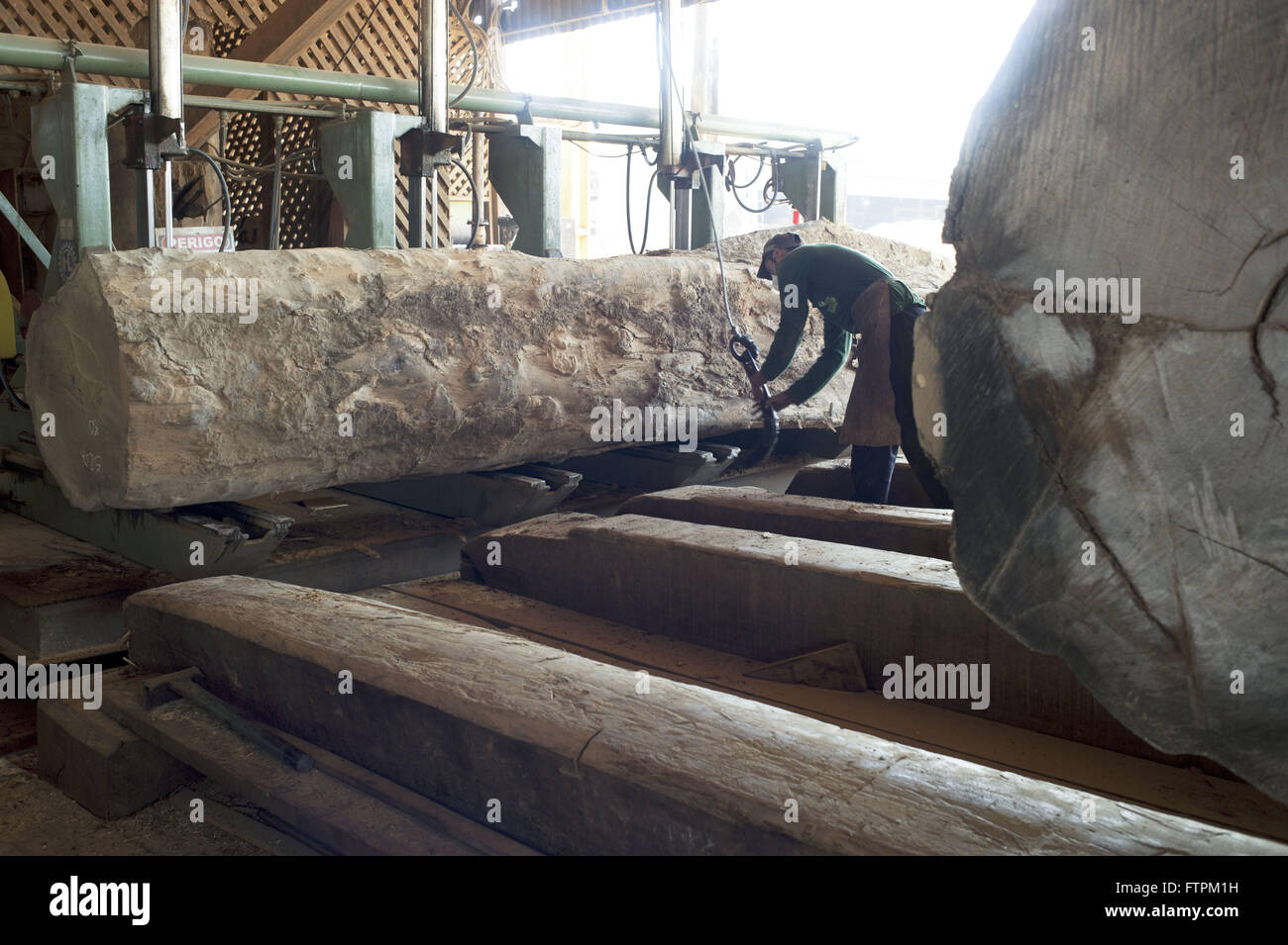 Cumaru tree logs-iron to cut sawmill - certified wood Stock Photo