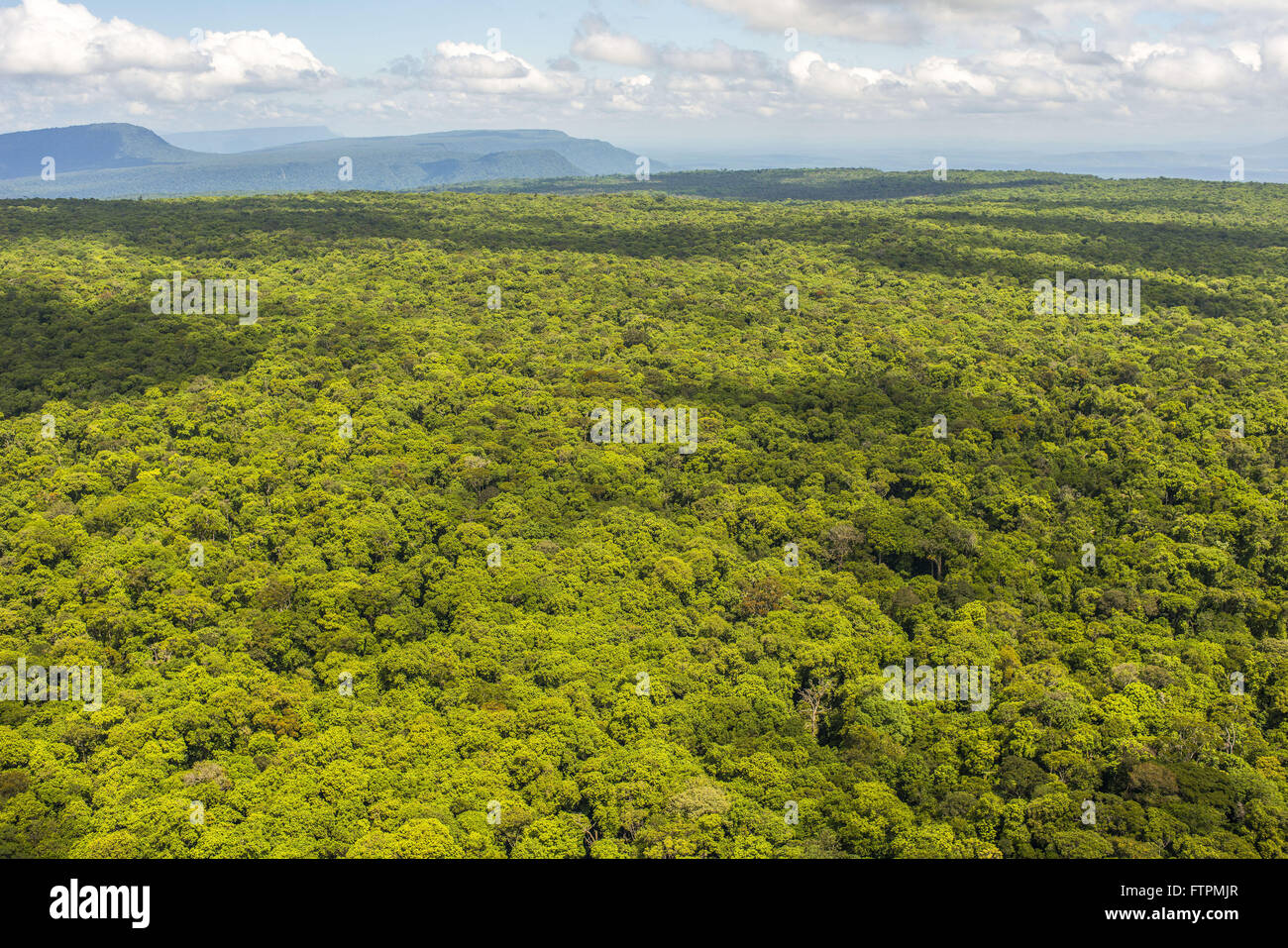 Aerial view of Mount Roraima National Park Stock Photo - Alamy