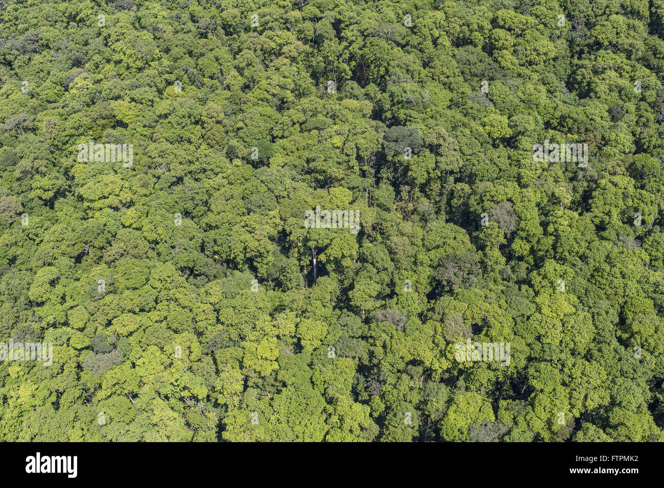 Aerial view of Mount Roraima National Park Stock Photo - Alamy