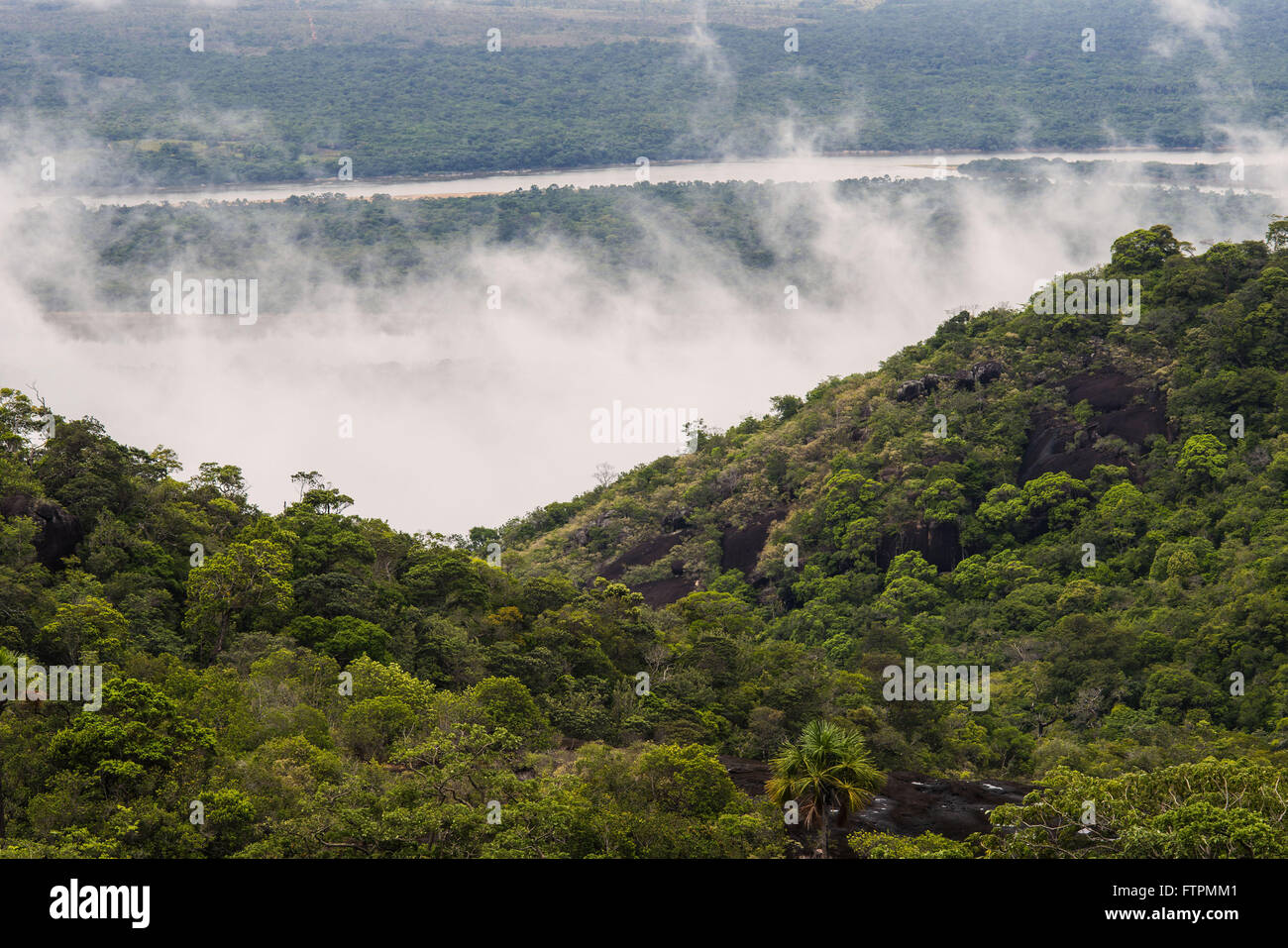 Aerial view of the Amazon forest in the region of Serra Grande Stock Photo