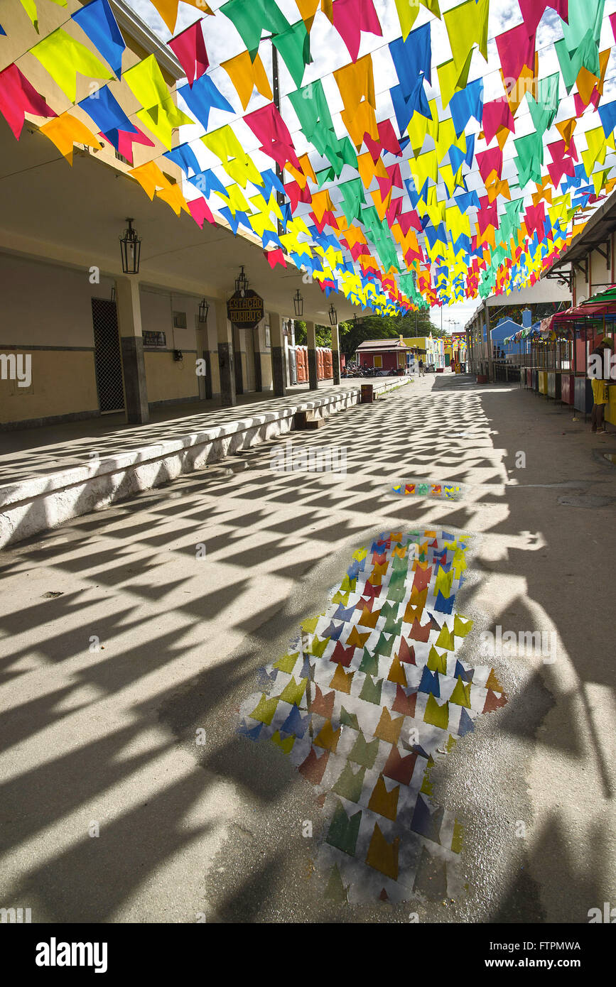 Foto de Feminino Mestre De Cerimônia e mais fotos de stock de