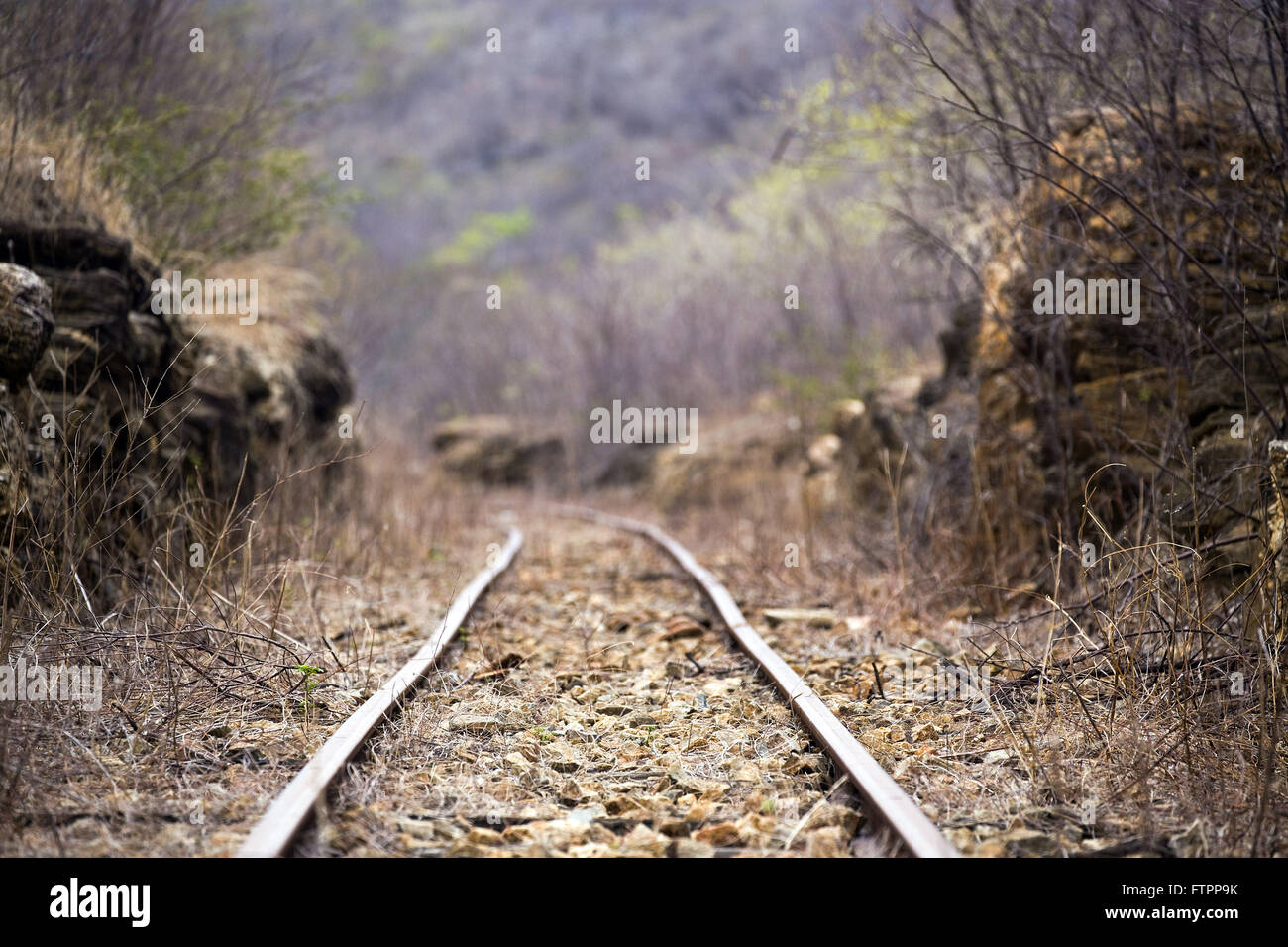 Rails Baturite Railway built in the late nineteenth century today disabled Stock Photo