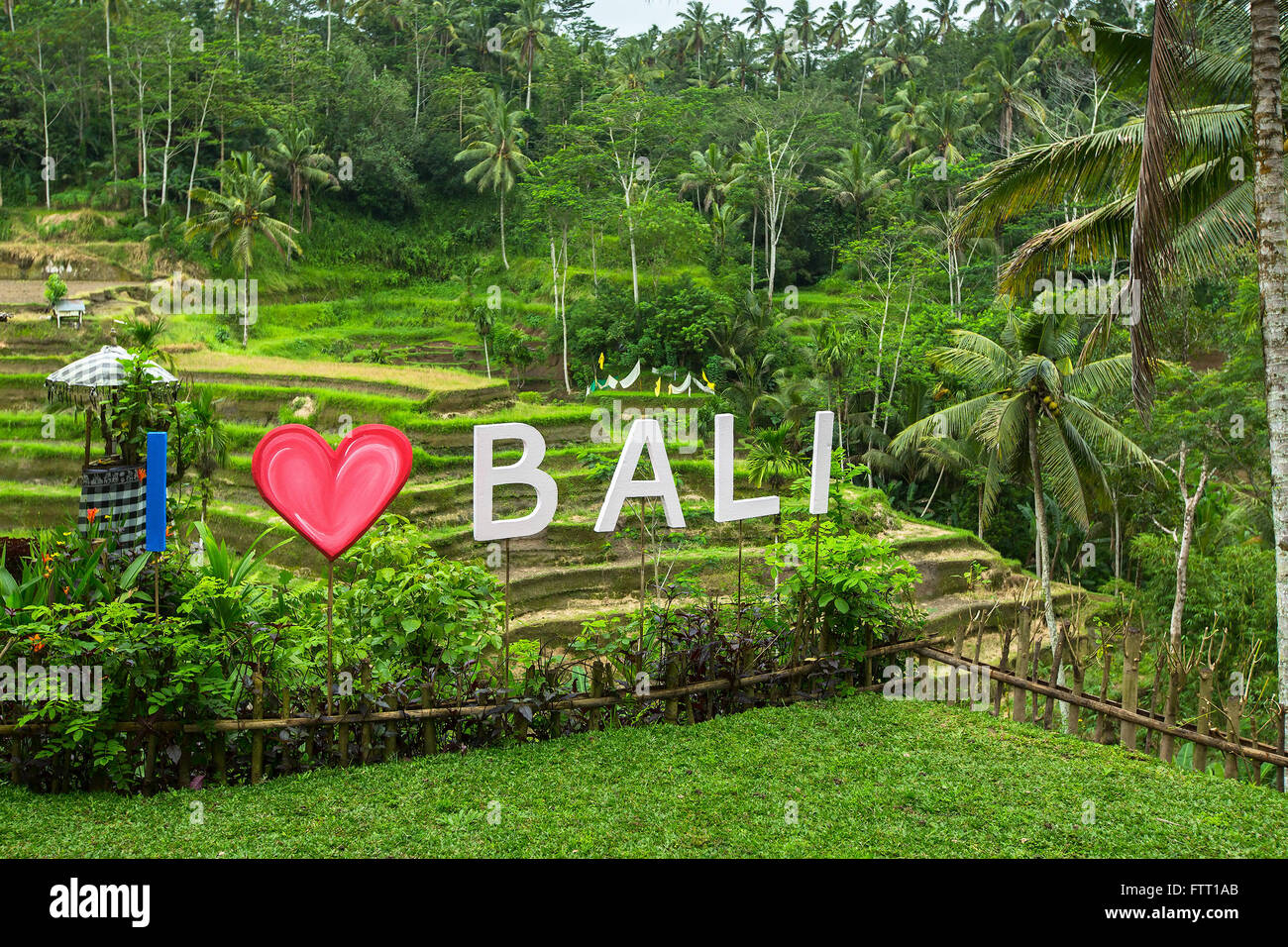 I Love Bali text written on the green rice terraces. Stock Photo