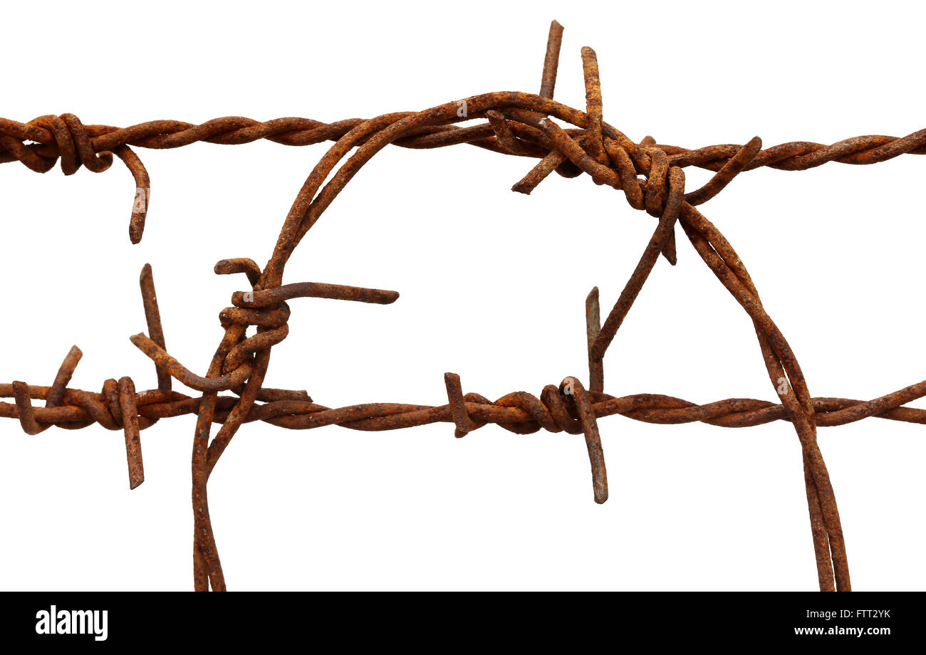 Barbed wire isolated hires stock photography and images Alamy