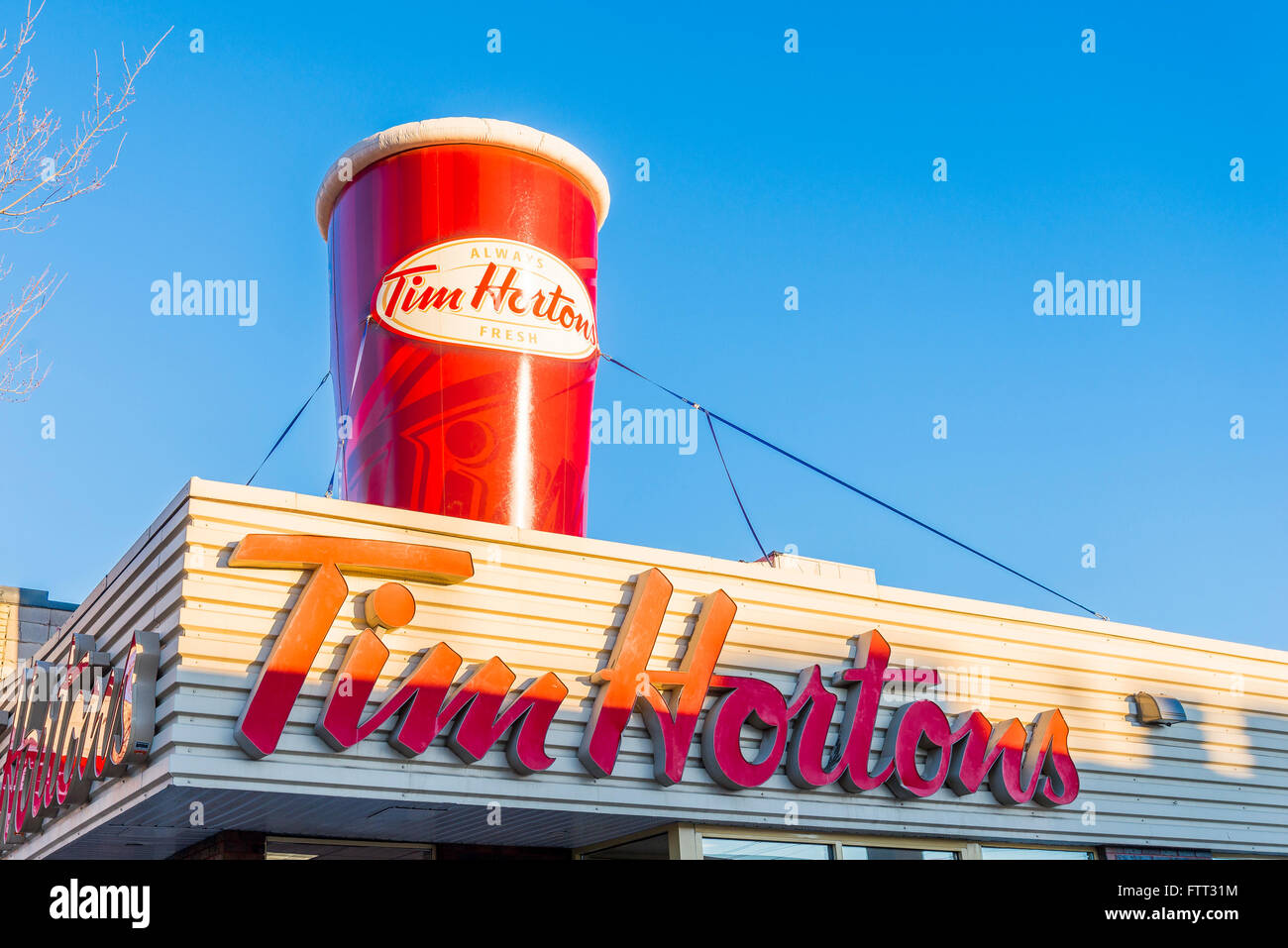 Tim Hortons Coffee shop cup display. Stock Photo