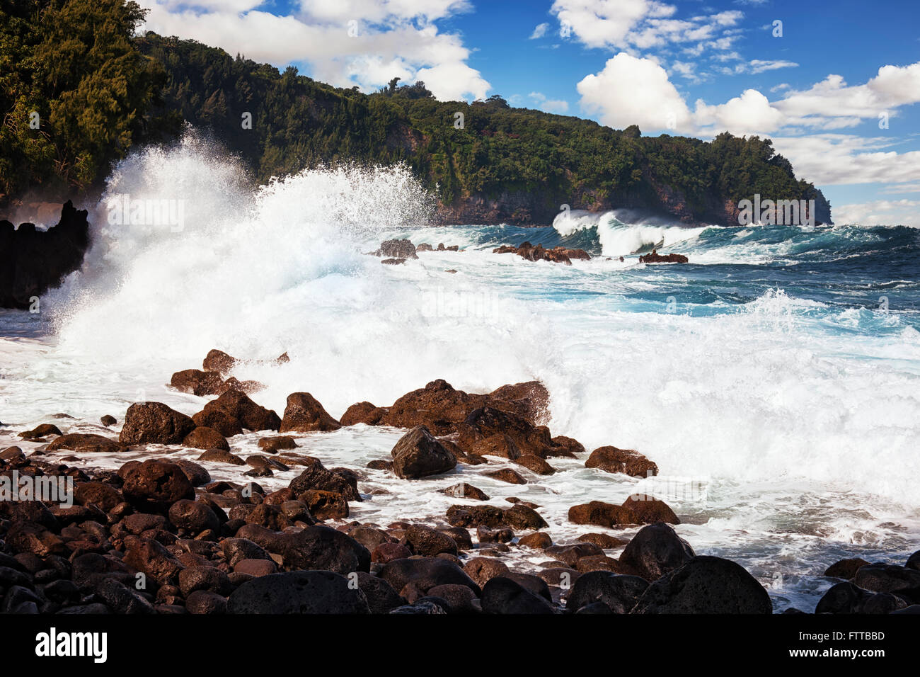 Large swells and heavy surf pound the lava shoreline at Laupahoehoe Point on the Big Island of