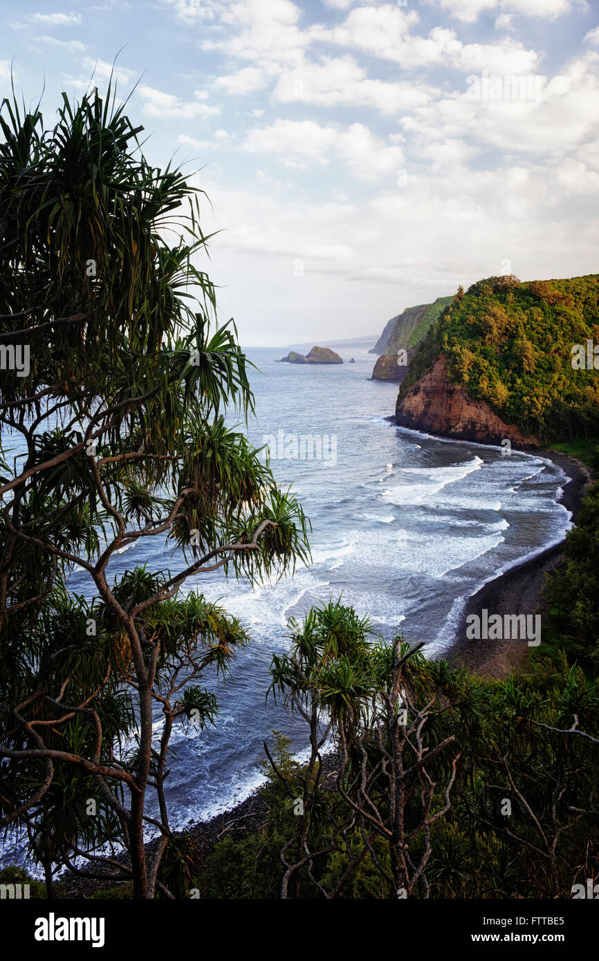 Evening light on the lush vertical cliffs along the North Shore of Kohala on the Big Island of Hawaii. Stock Photo
