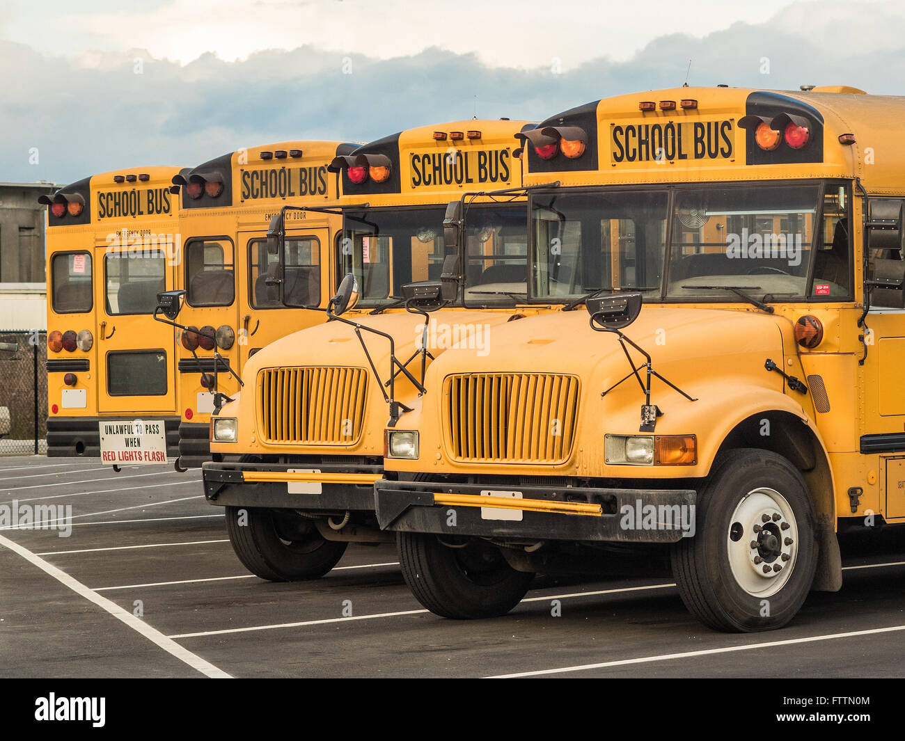 Photograph of four yellow school buses parked side by side in a parking lot. Stock Photo