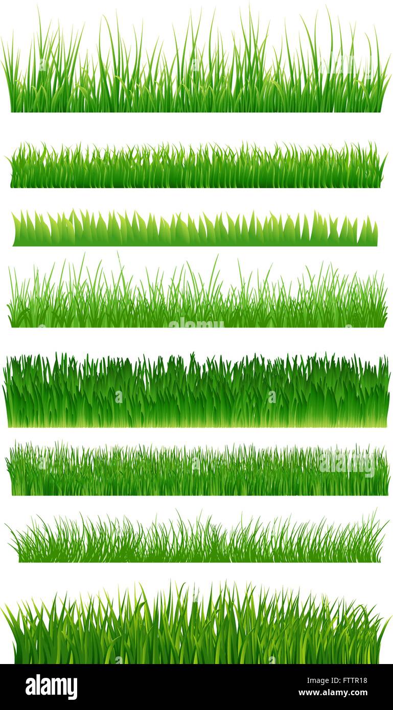 Green grass borders collection over white. Vector illustration Stock Vector