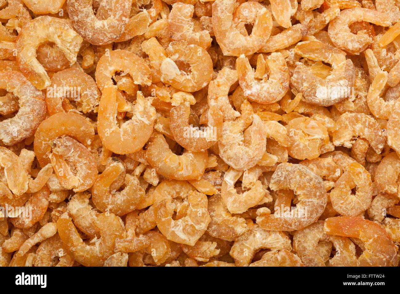 Closeup of lots of dried shrimps Stock Photo Alamy