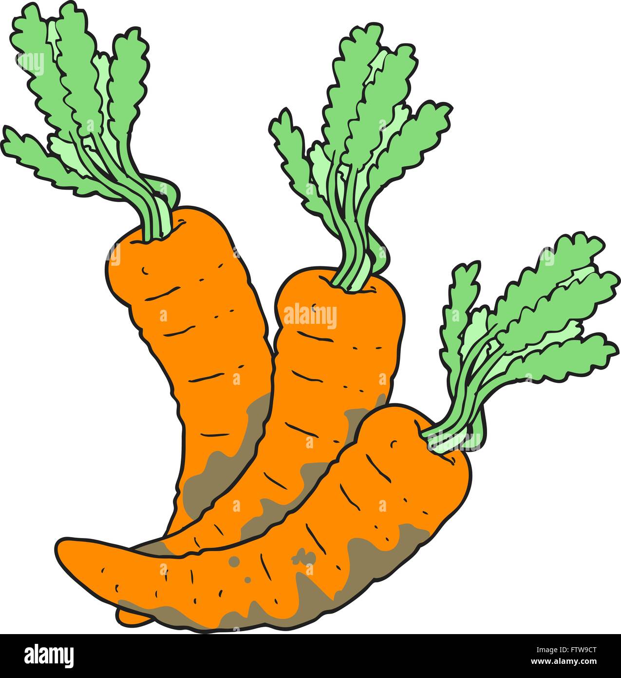 freehand drawn cartoon carrots Stock Vector Image & Art - Alamy