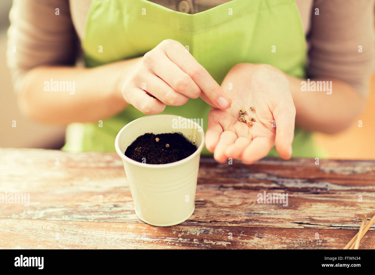 close up of woman sowing seeds to soil in pot Stock Photo