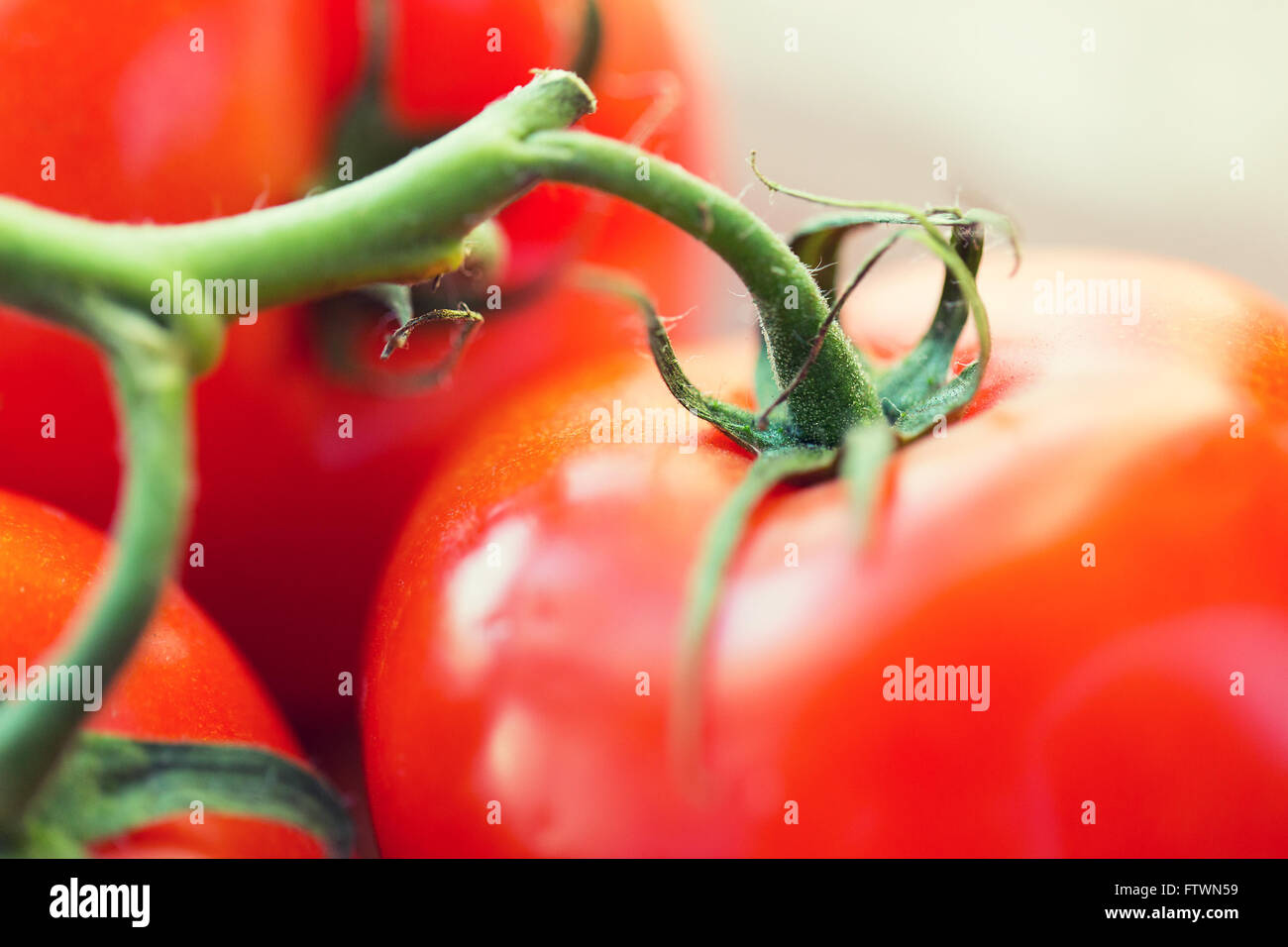 close up of ripe juicy red tomatoes Stock Photo - Alamy