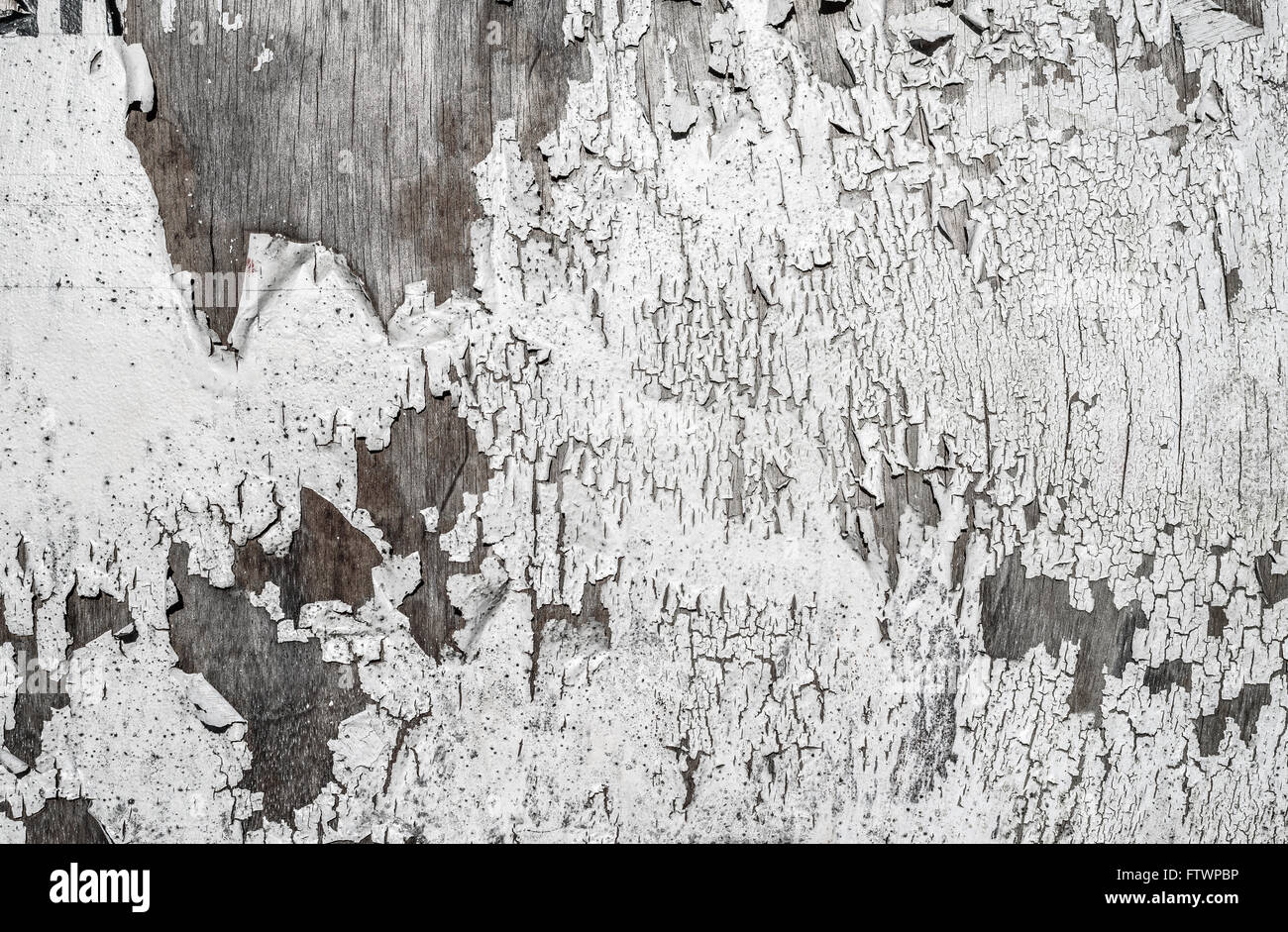 Peeling white paint grunge background. Stock Photo
