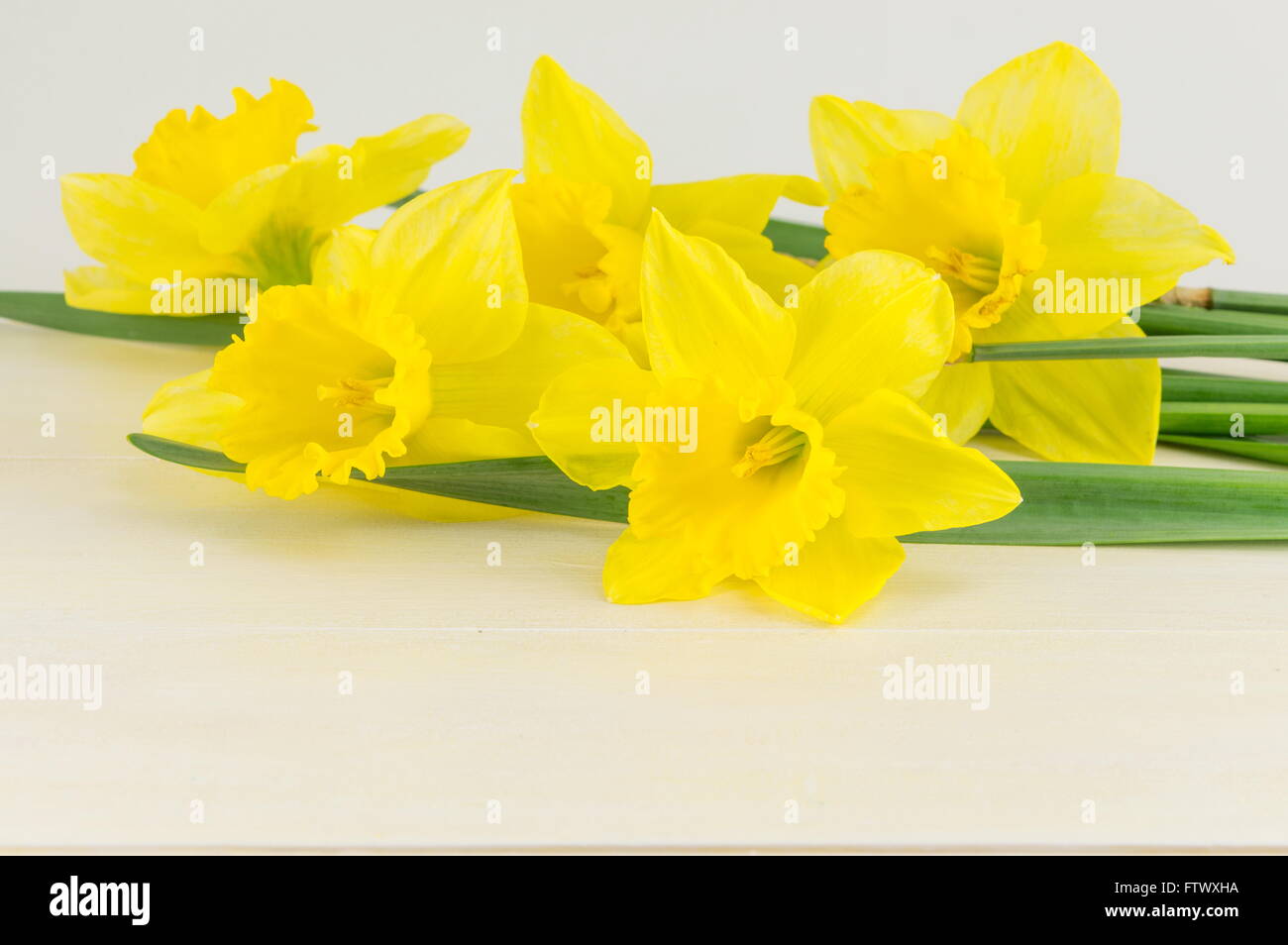 a bouquet of narcissus on white background Stock Photo - Alamy