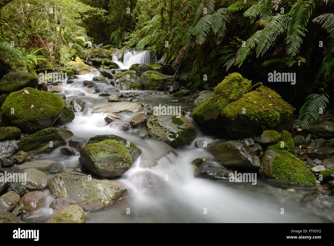 A slow shutter speed captures water cascadeig down Beehives Creek on the West Coast, South Island, New Zealand Stock Photo