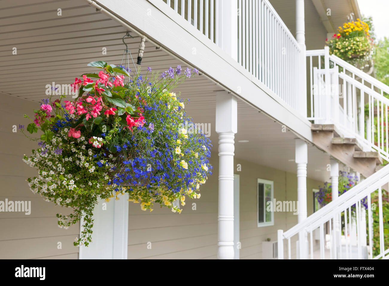 Colorful hanging flower basket decorating house exterior with copy space Stock Photo