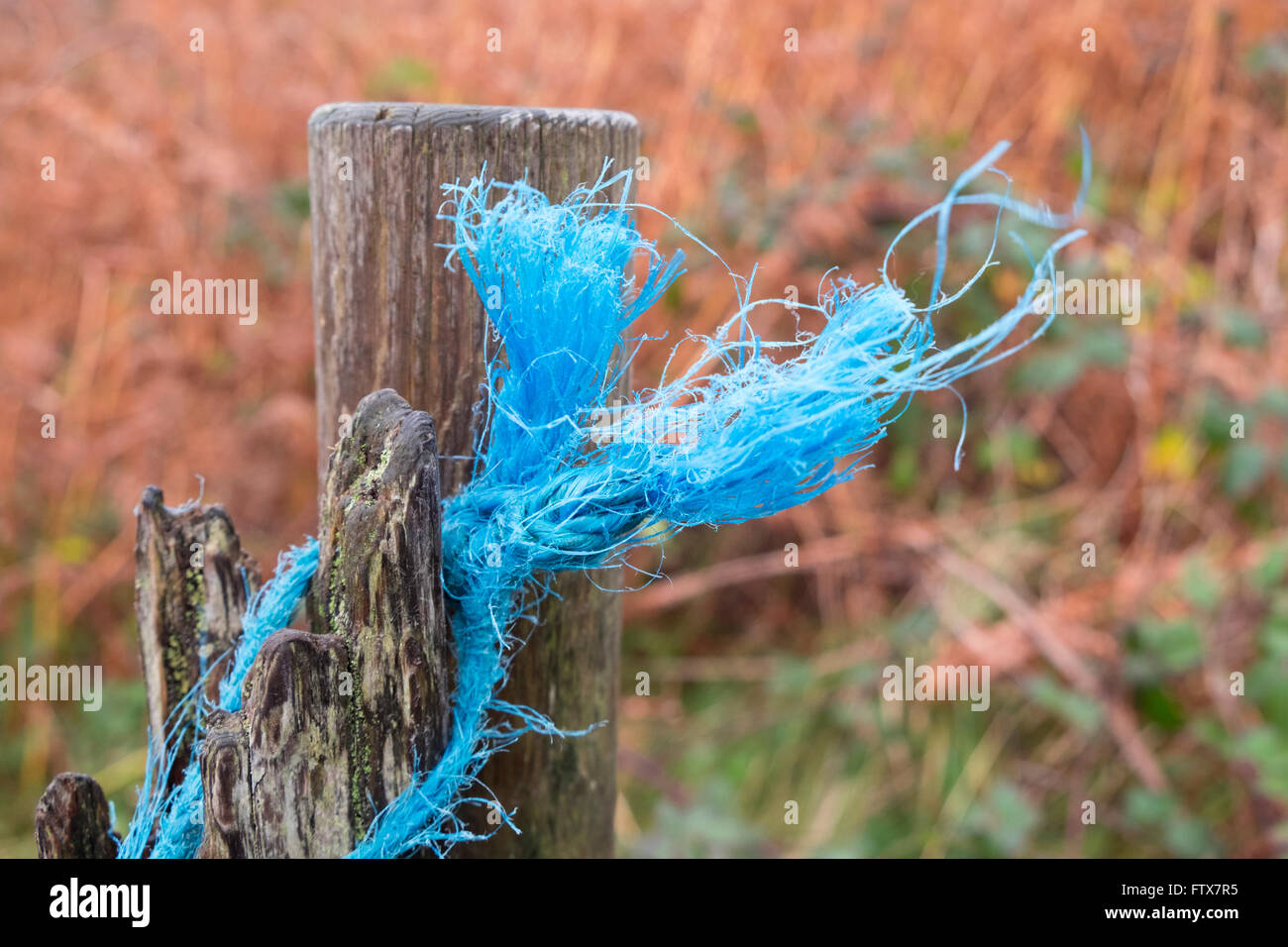 Frayed hi-res stock photography and images - Alamy