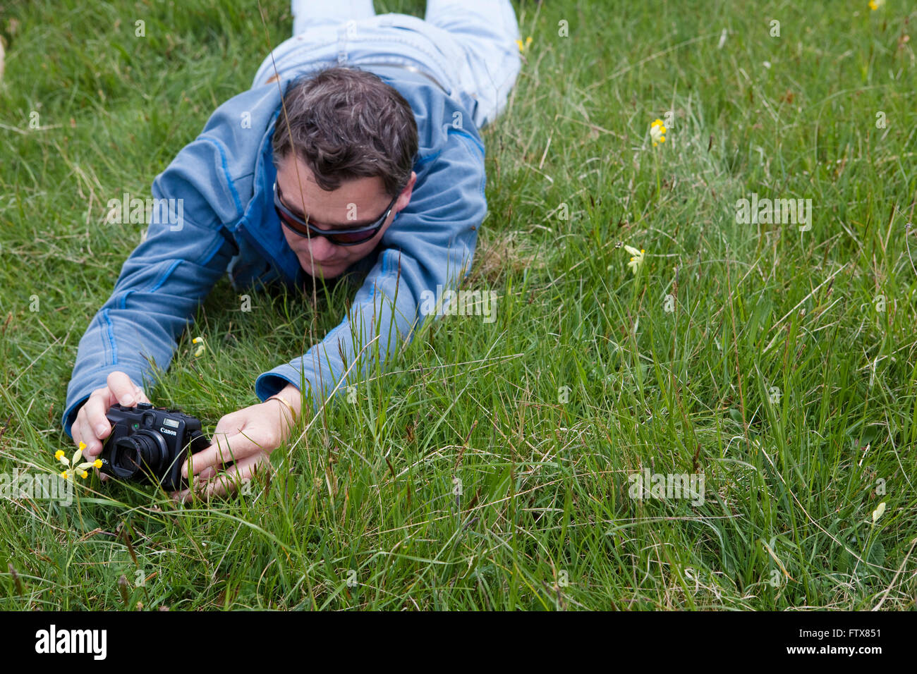 A man lays in the grass so that he can get a low angle to enable him to take a photograph of a small cowslipo, a wild flower he has found on a country walk or ramble. Stock Photo