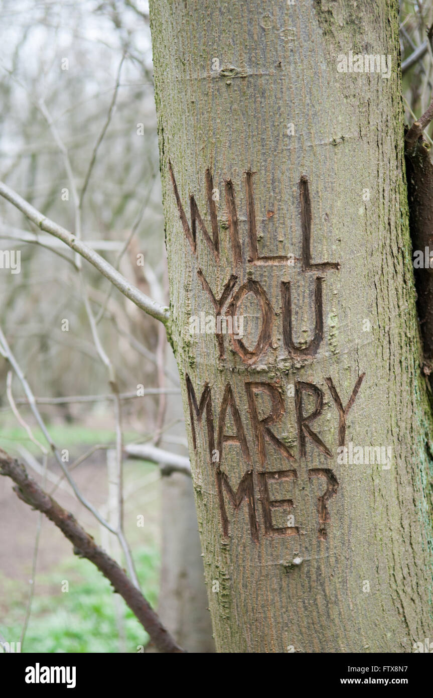 Marriage proposal message carved onto the trunk of a tree Stock Photo