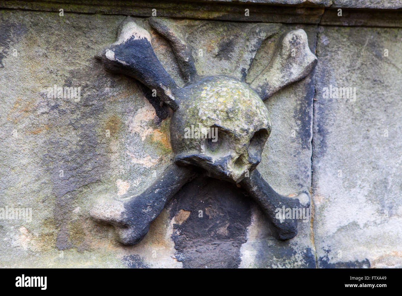 A closeup of a skull and crossbones on a headstone in a graveyard