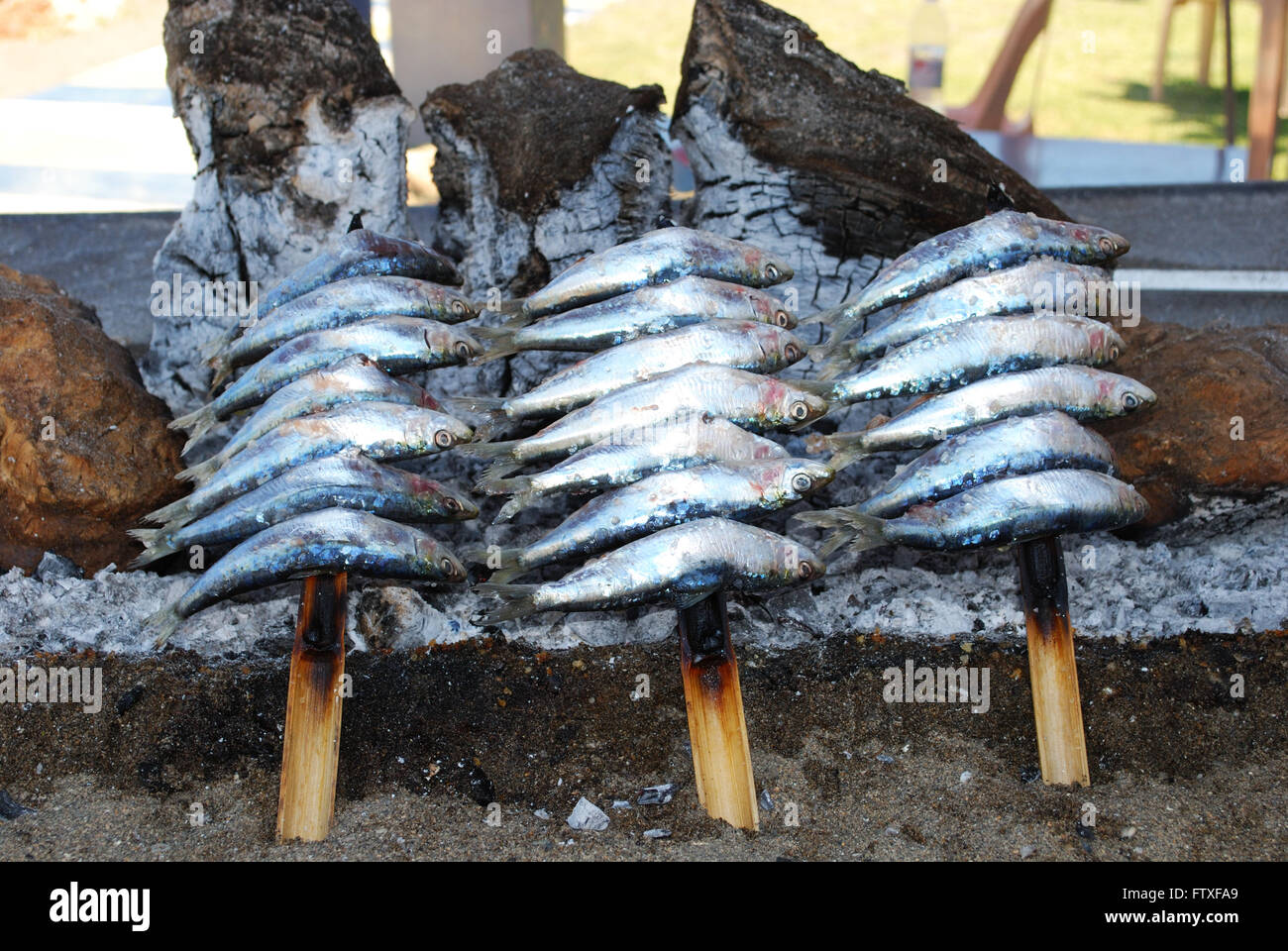 Sardines cooking on a log fire in a boat along the promenade