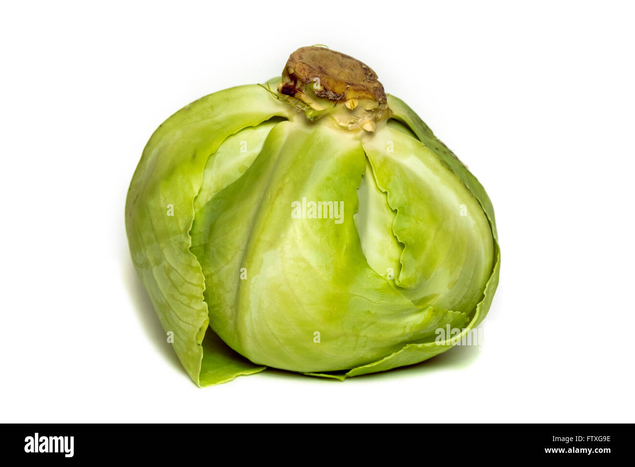 Big ripe fresh cabbage on white background Stock Photo