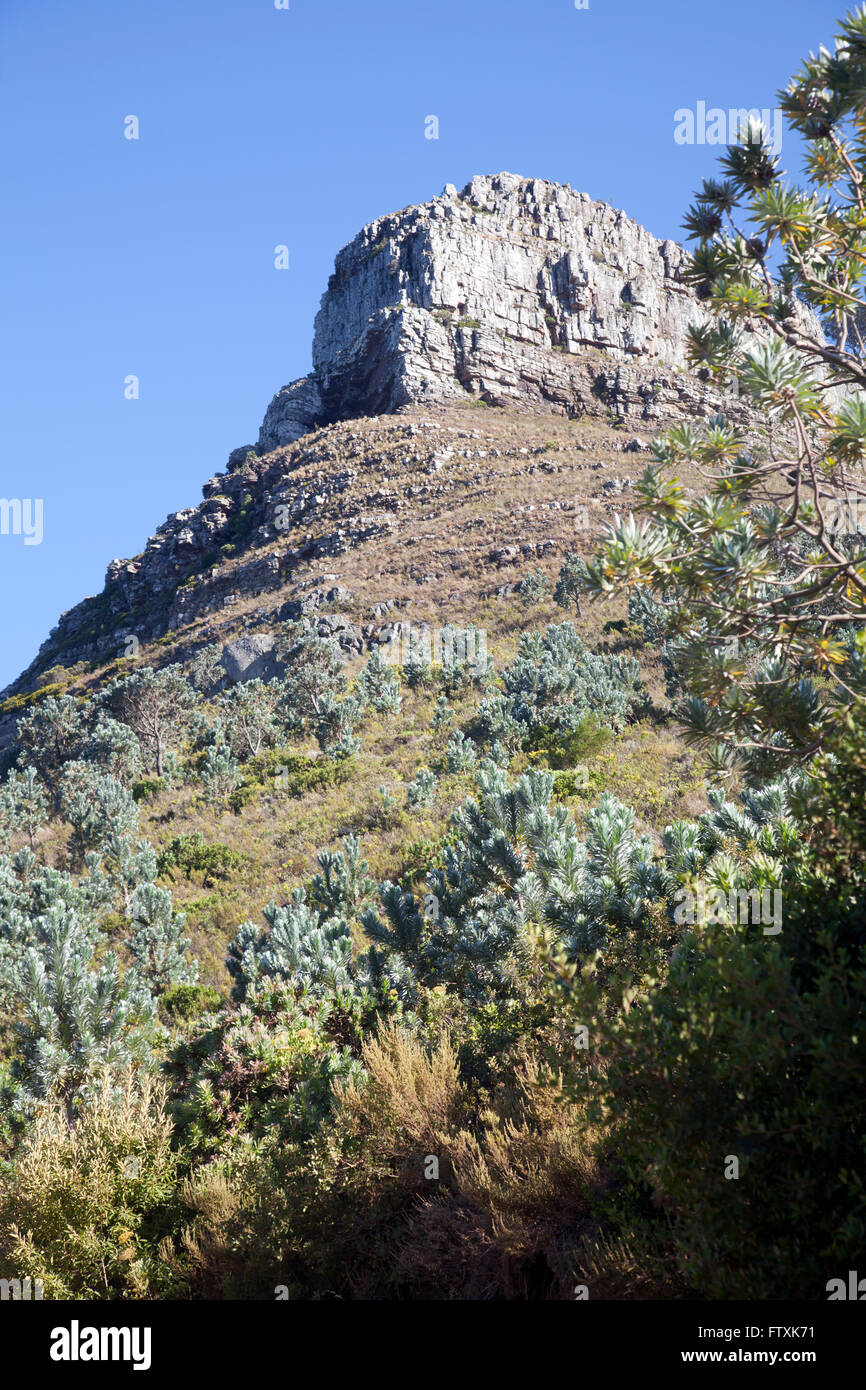 Lions Head Peak in Cape Town South Africa Stock Photo Alamy