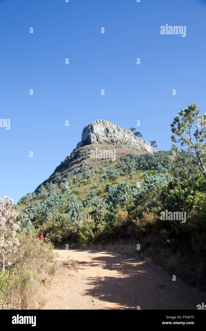 Lions Head Peak in Cape Town South Africa Stock Photo Alamy