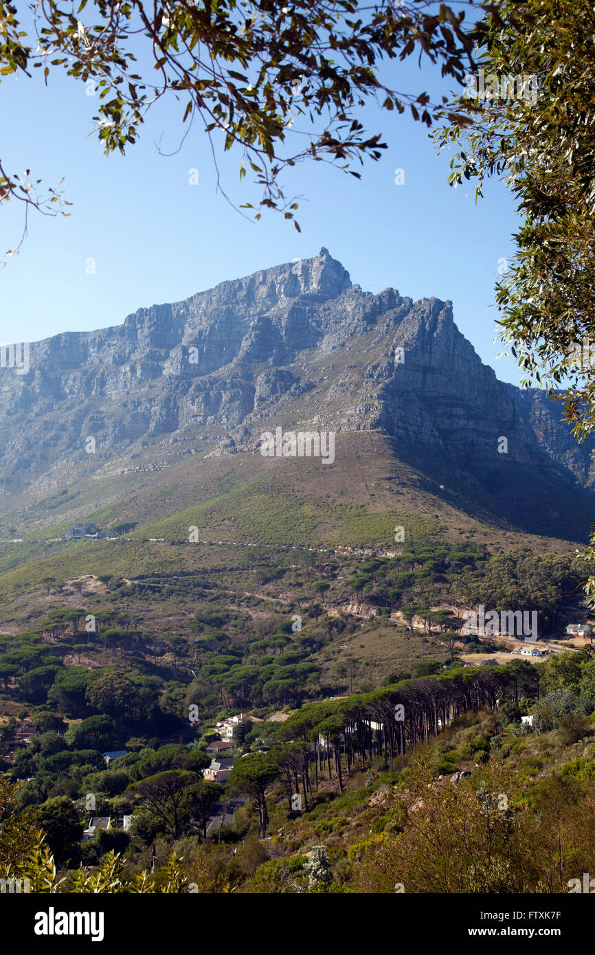 Table Mountian viewed from Lions Head early morning - Cape Town - South Africa Stock Photo