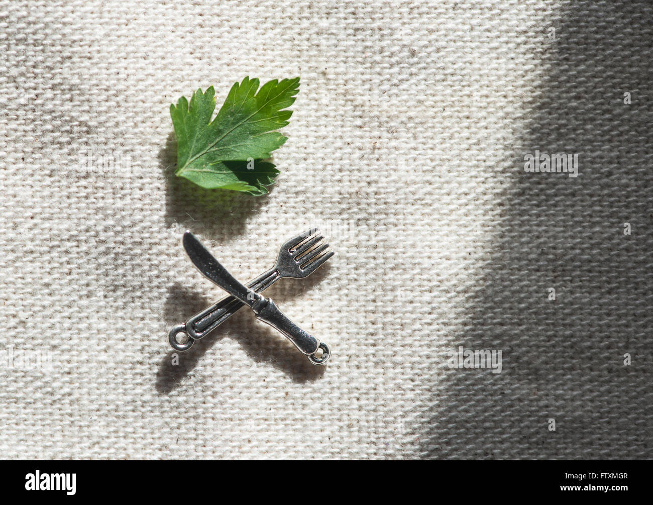 Overhead view of parsley leaf and miniature cutlery Stock Photo