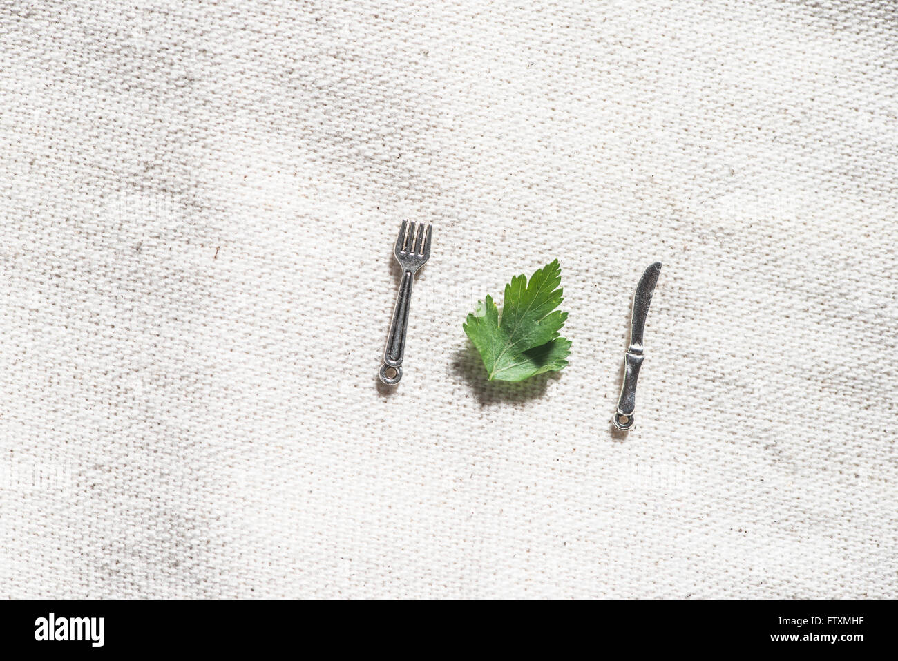 Overhead view of parsley leaf and miniature cutlery Stock Photo