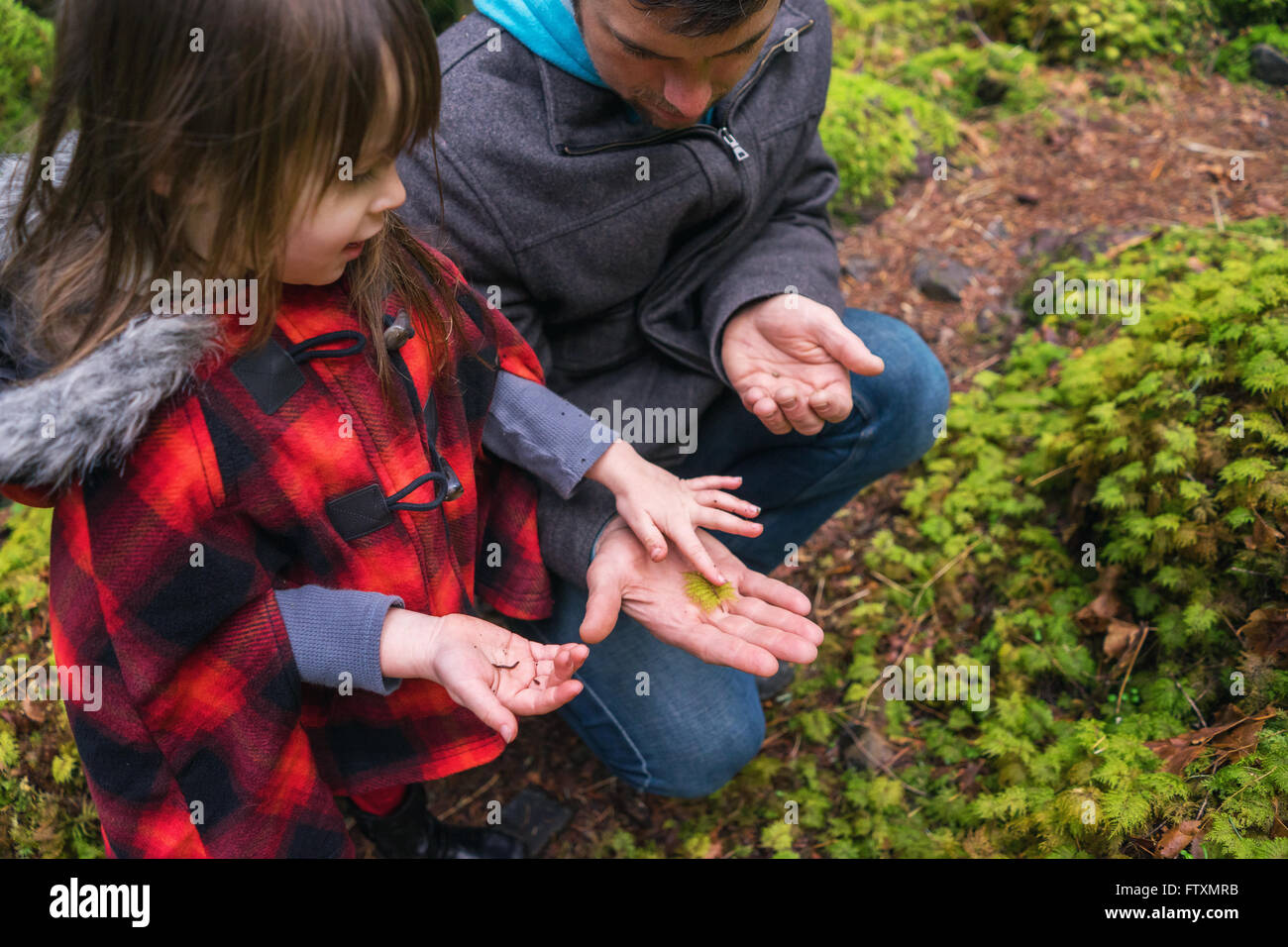 Young girl and father looking at fern leaf in forest Stock Photo