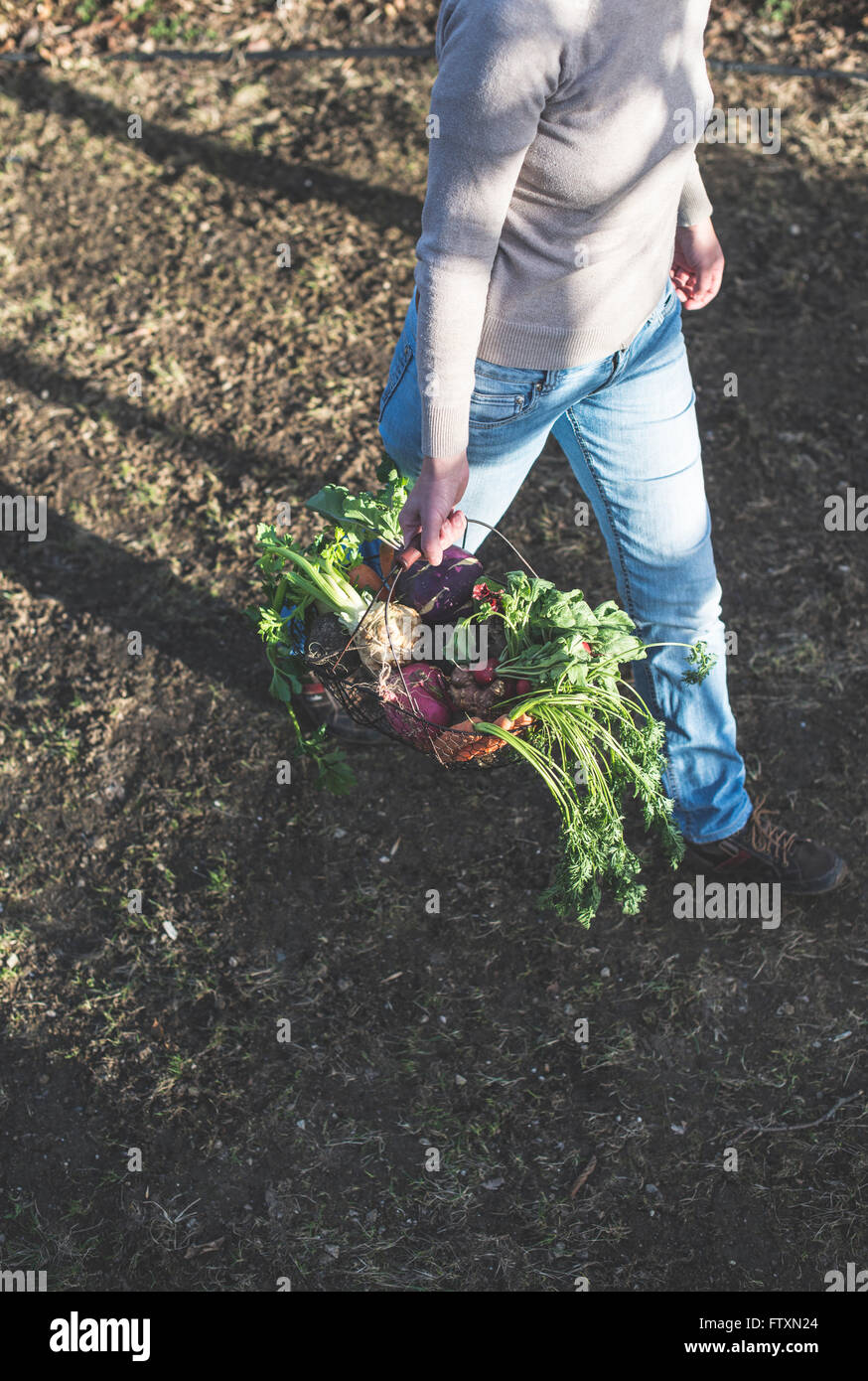 Elevated view of woman carrying basket with fresh vegetables Stock Photo