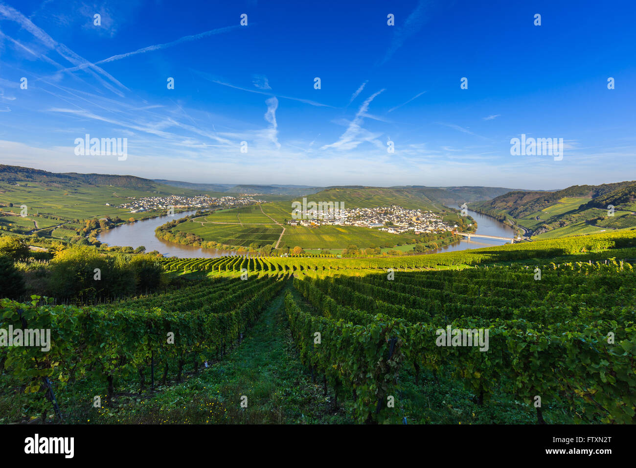Bend in the river Moselle with the villages Leiwen and Trittenheim, western Germany. Stock Photo