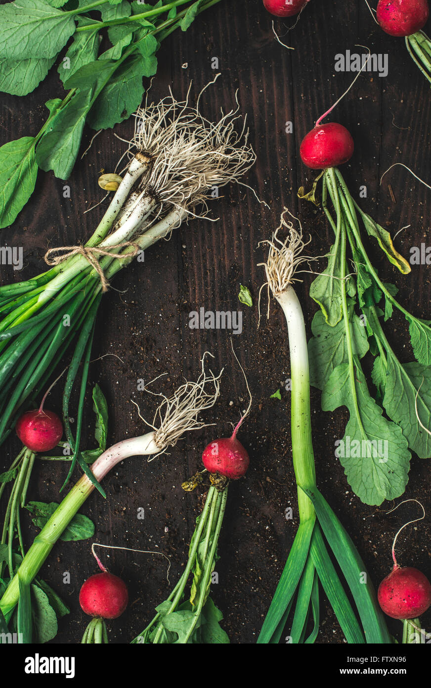 Radishes and spring onion on wooden table Stock Photo