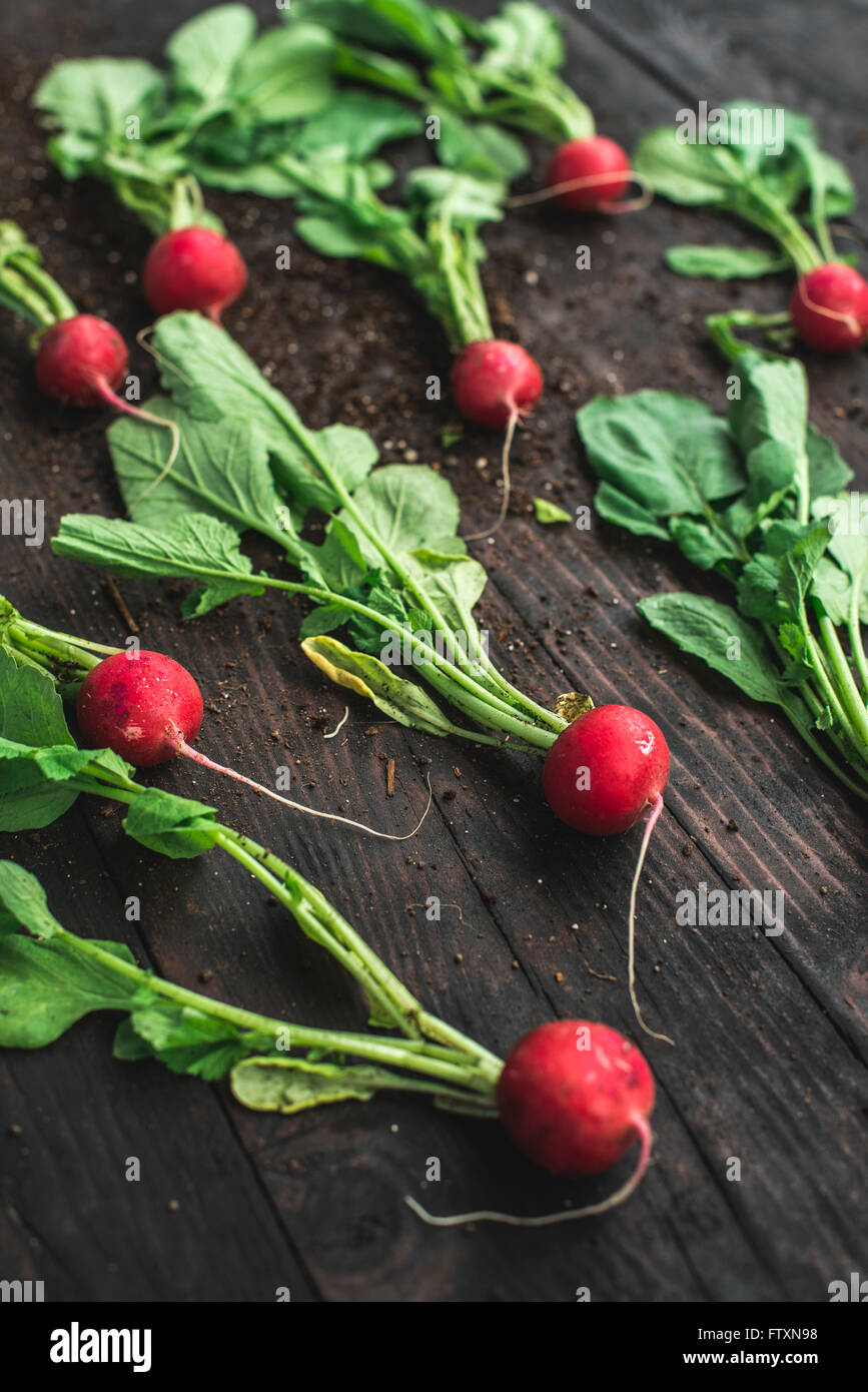 Radishes on a wooden table Stock Photo