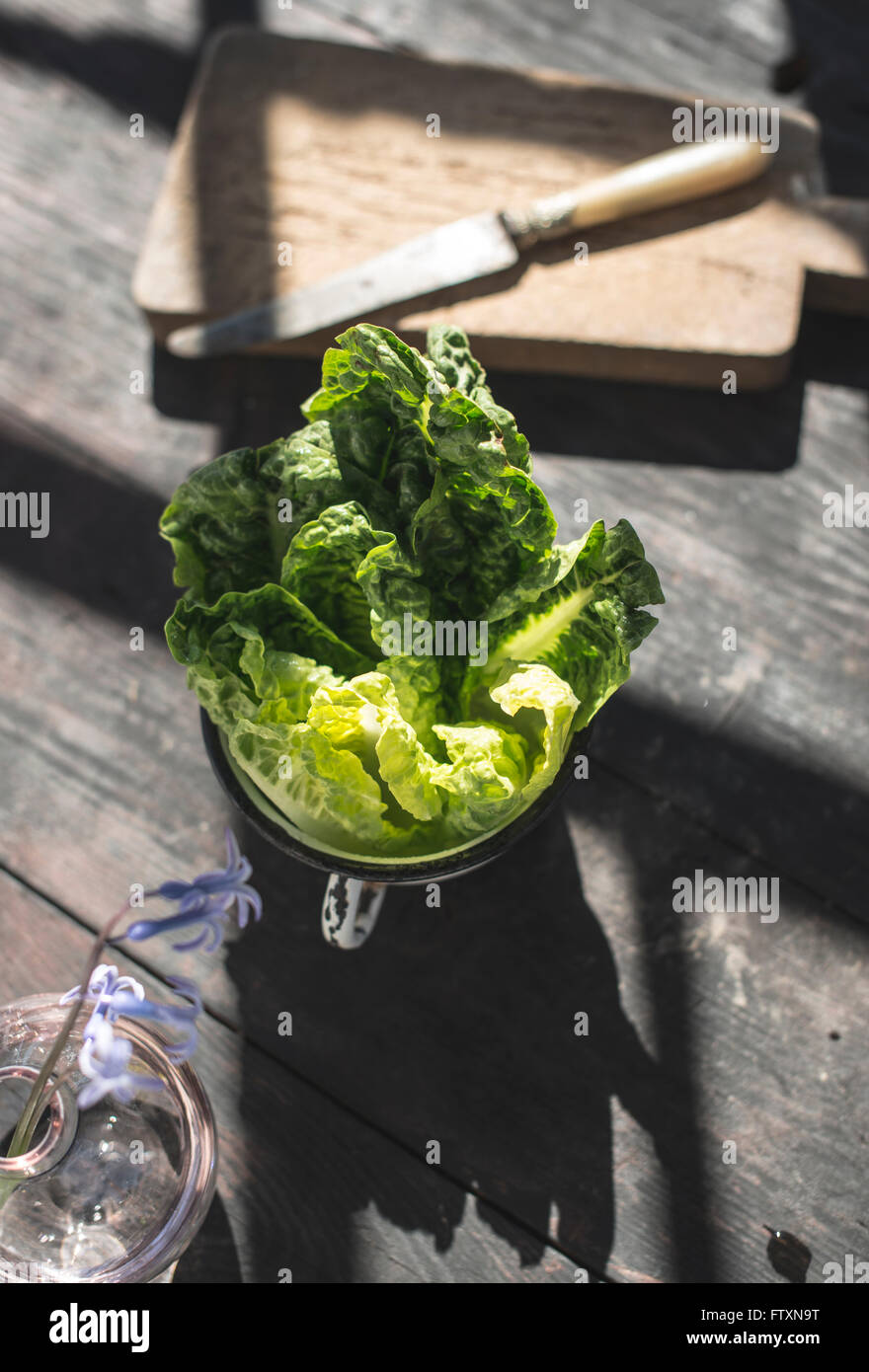 Lettuce leaves on wooden table Stock Photo