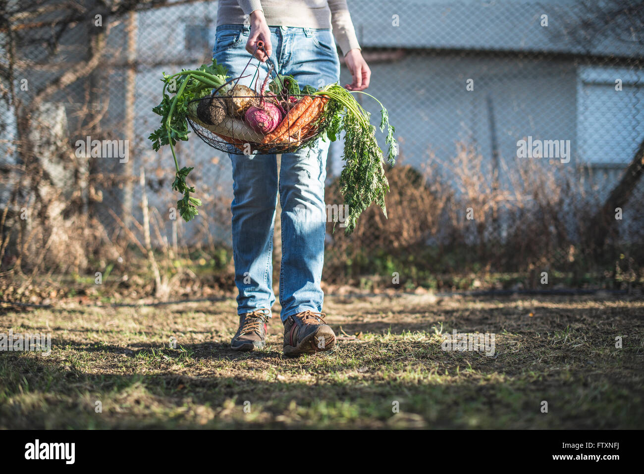 Woman carrying basket of fresh vegetables Stock Photo