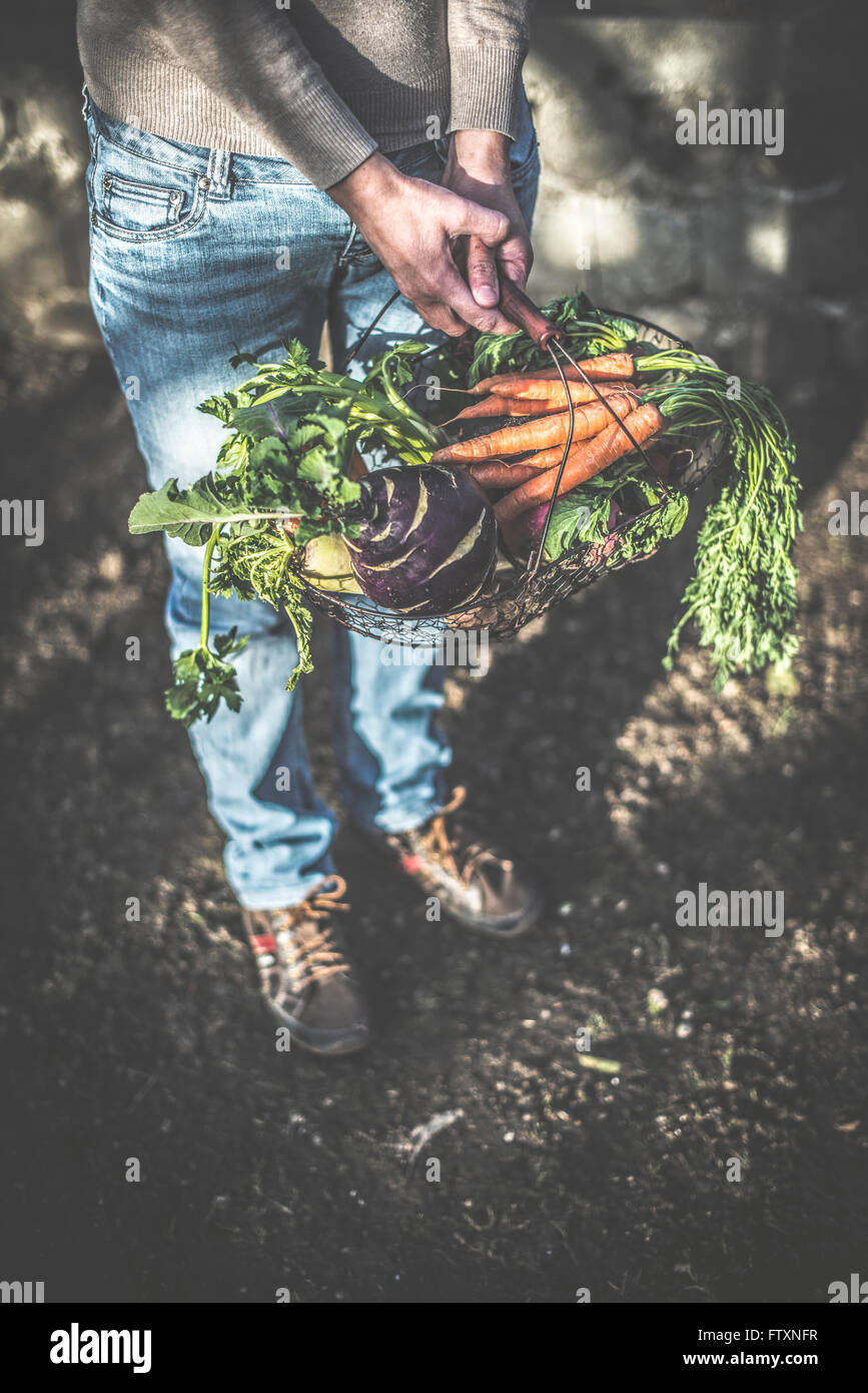 Woman carrying basket of fresh vegetables Stock Photo